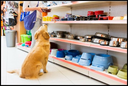 Thriving Pet Supply Business in Central NY 