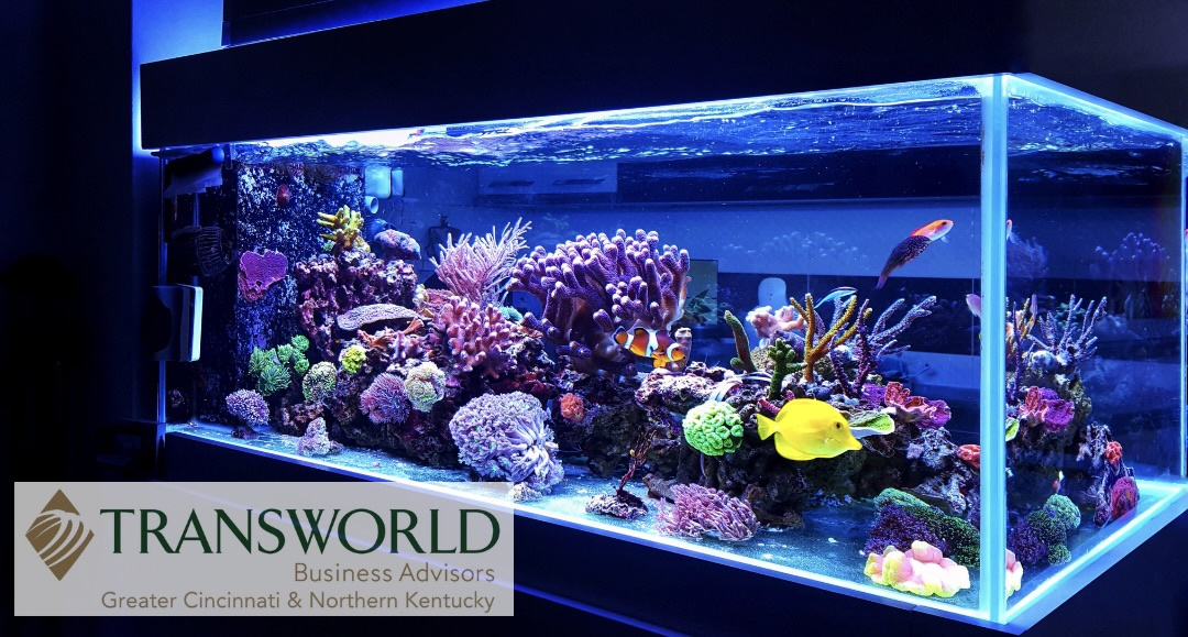 Dive into Ownership! Profitable Aquarium & Pond Business for Sale