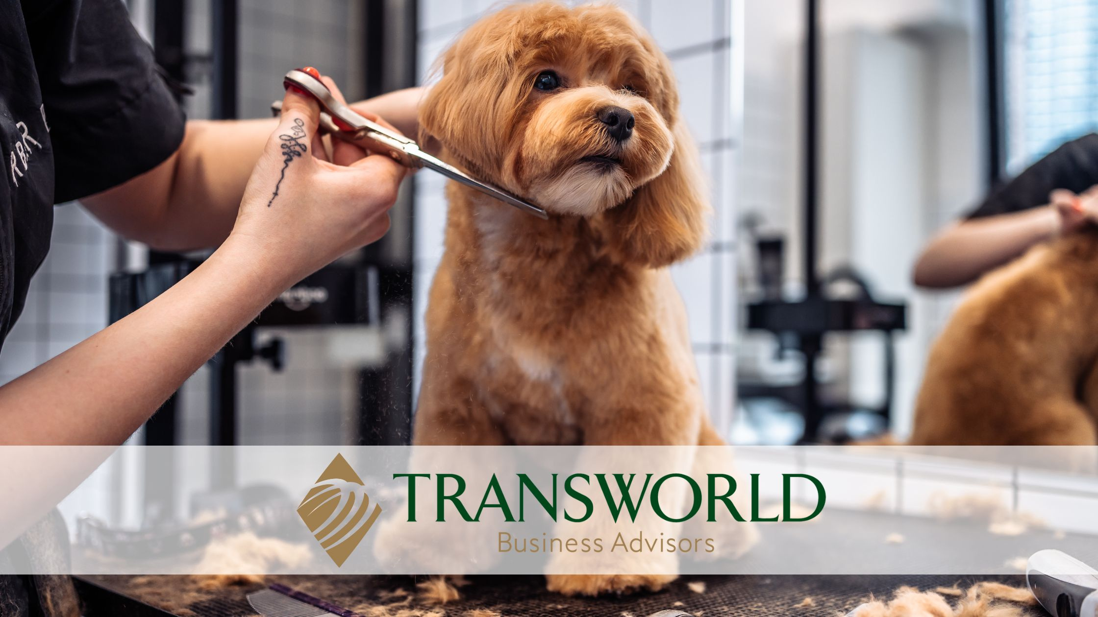 Profitable Dog Grooming Business with Loyal Clientele