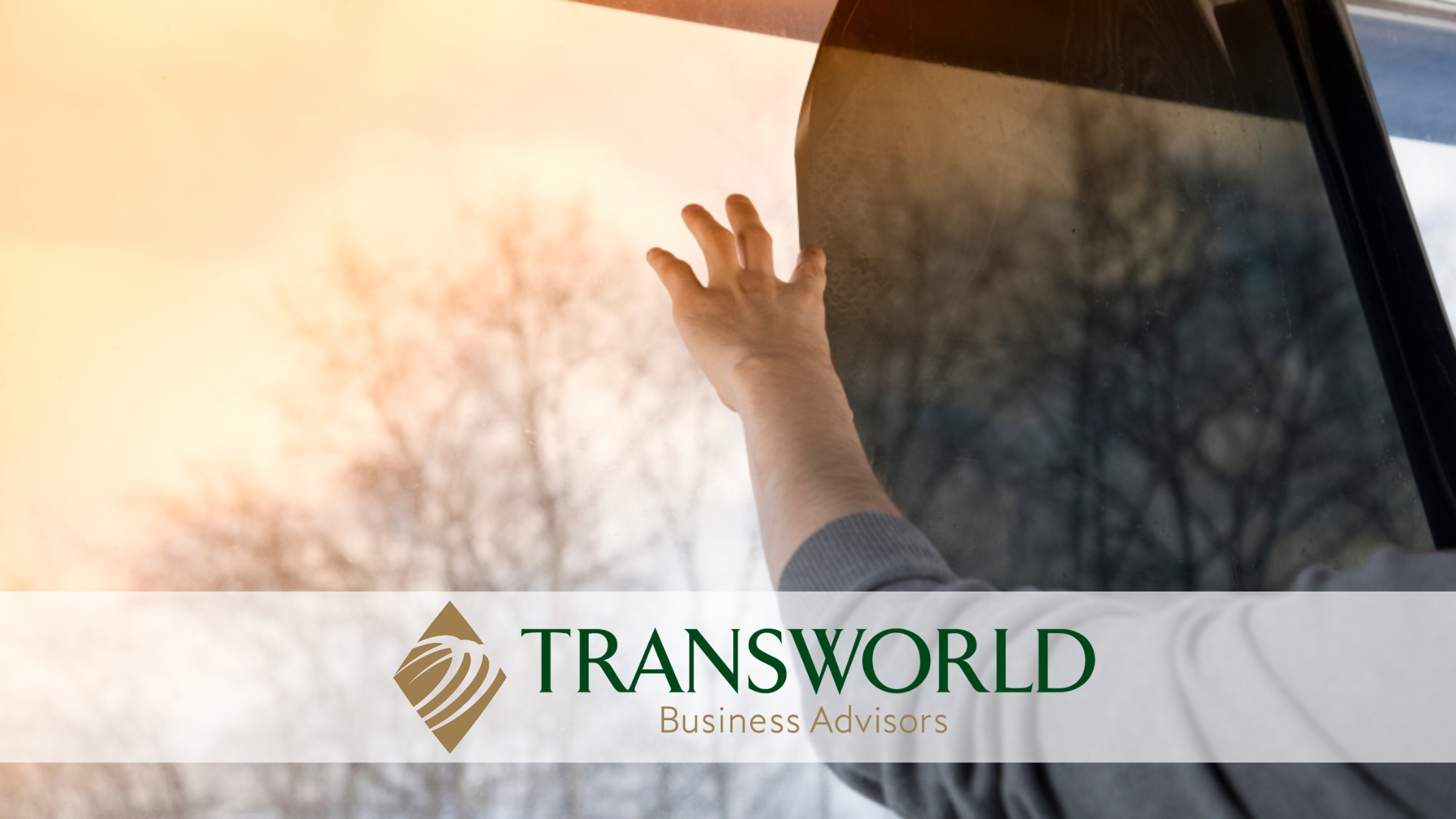 Price Reduced Window Film Sales and Installation Company