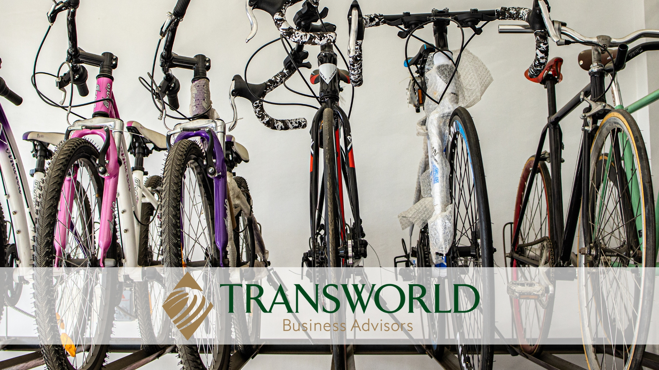 Profitable 100% Absentee Electric Bike Tour and Service Shop