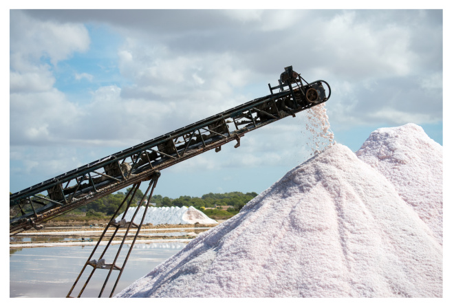 Growth Opp: Industrial/Ag Salt Distrib & Livestock Nutrition Co