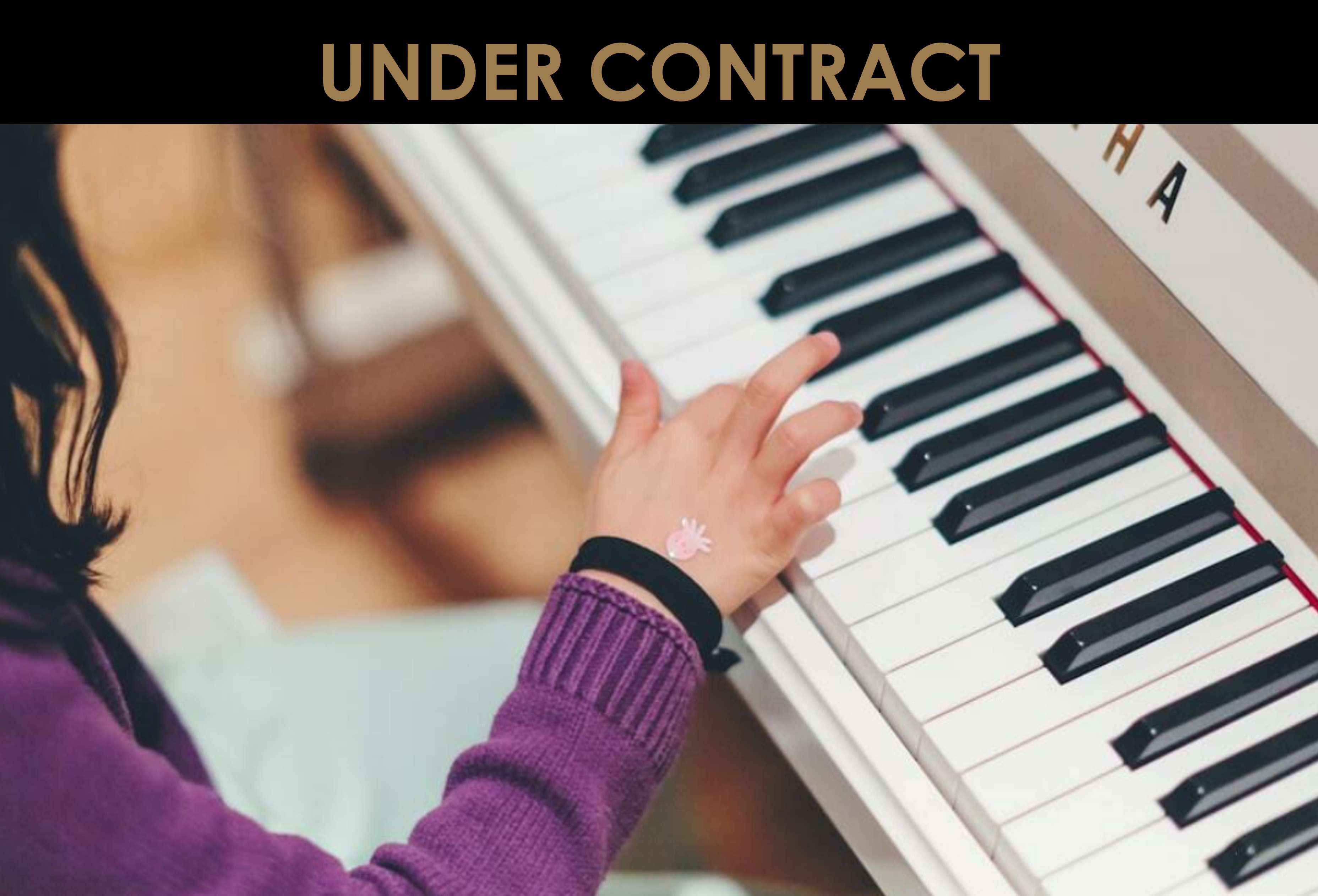 Established & Profitable Music and Arts School