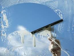  Exterior Cleaning Business w/ Recurring Revenue – Metro Detroit