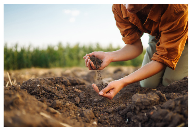 Patented Breakthrough in Organic Material Processing
