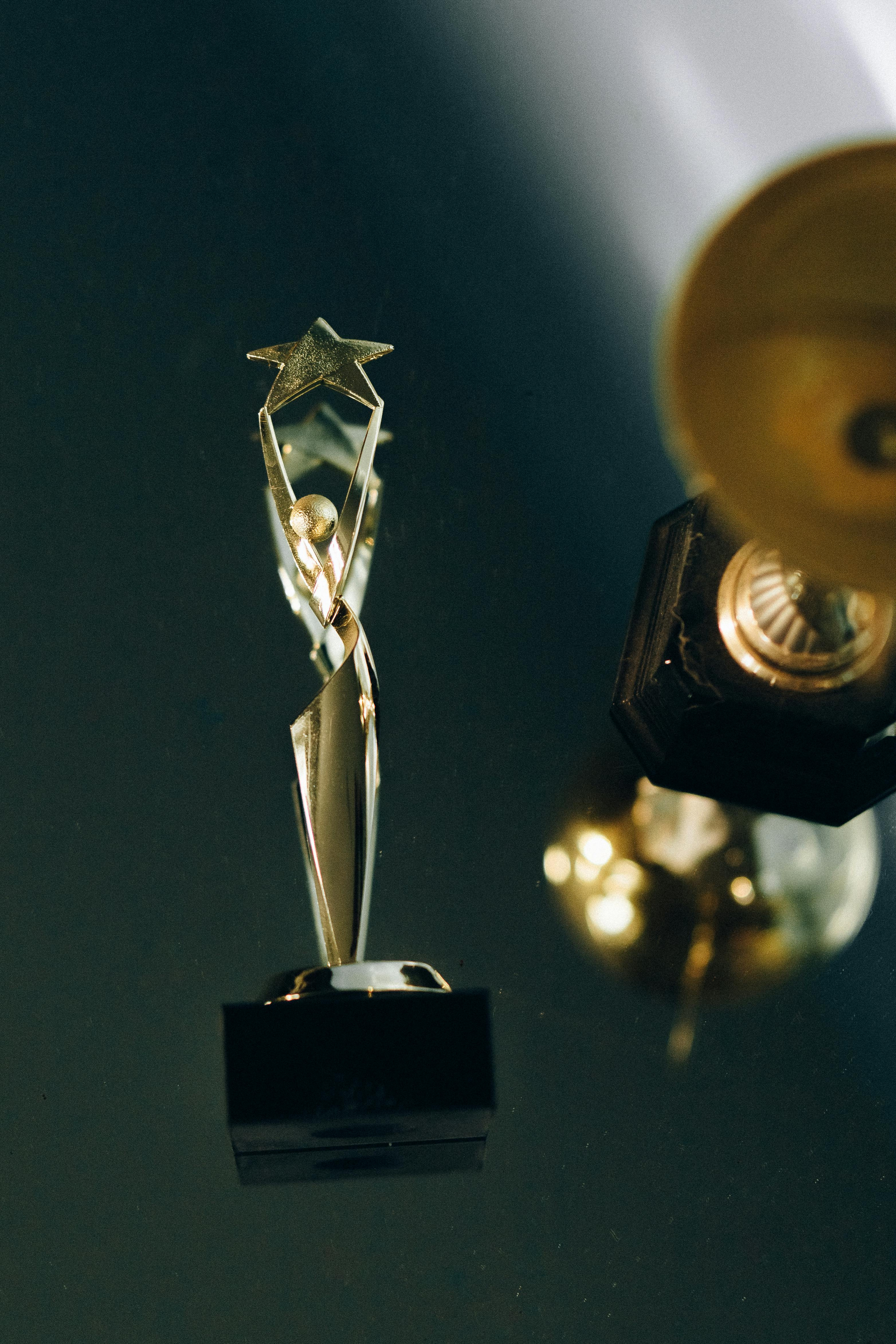 Own a Successful Awards Business: Be the Next Winner!