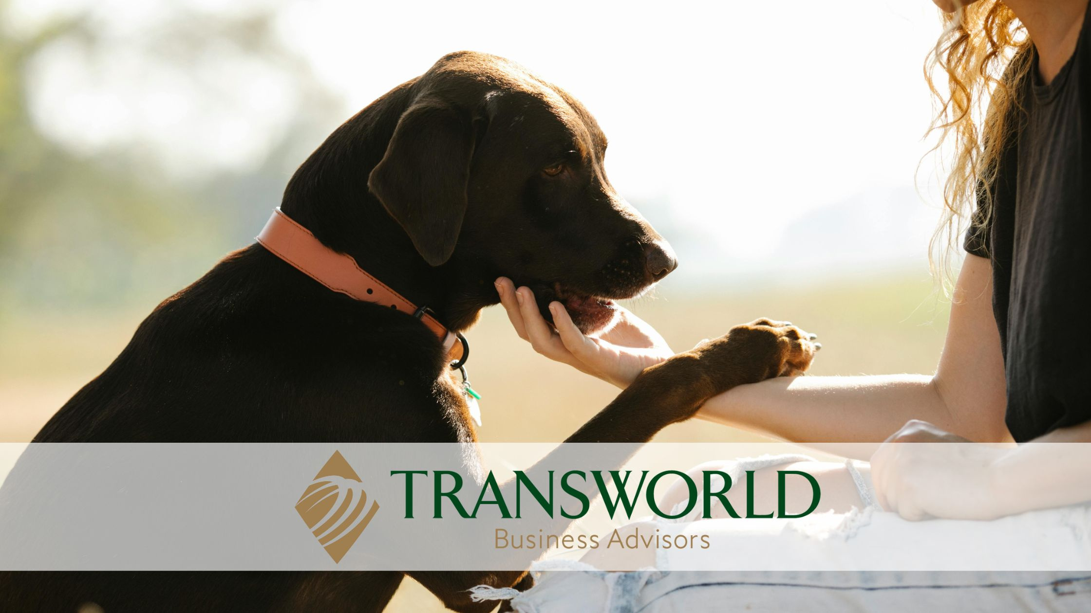 Doggie Daycare Franchise - NE Houston