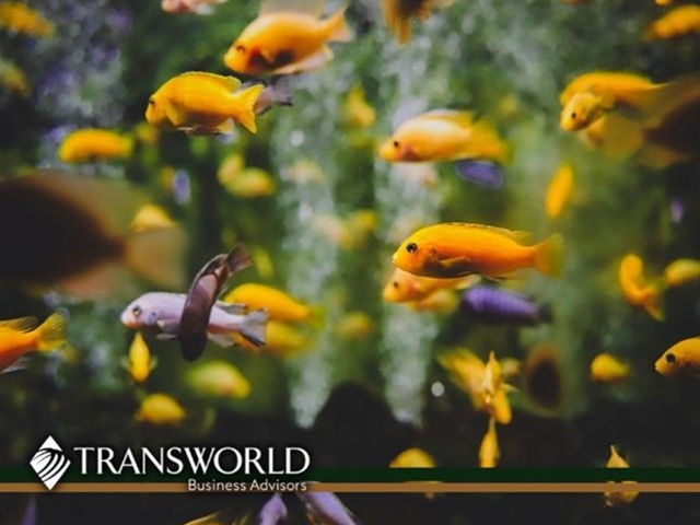 Premier South Florida Aquarium Store Est 20 Years