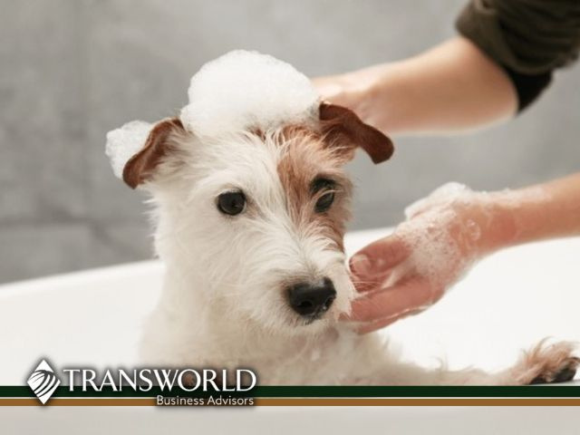 Beautiful Turn-Key Pet Grooming and Self-Service Bathing in FL