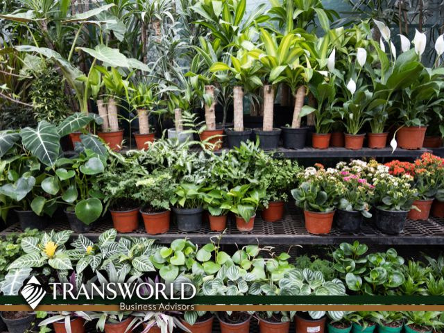 Established Nursery with Valuable Real Estate