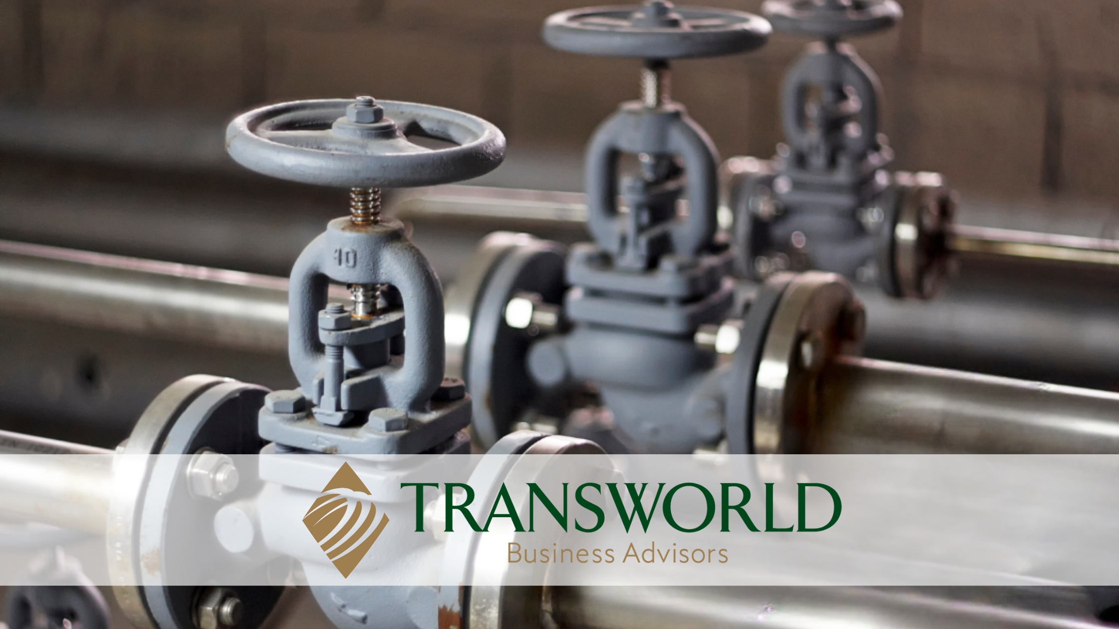 Established Valve Brand serving in Energy Sector