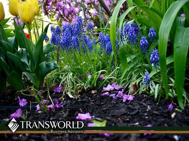 Niche Contract & Recurring Landscape Related Services