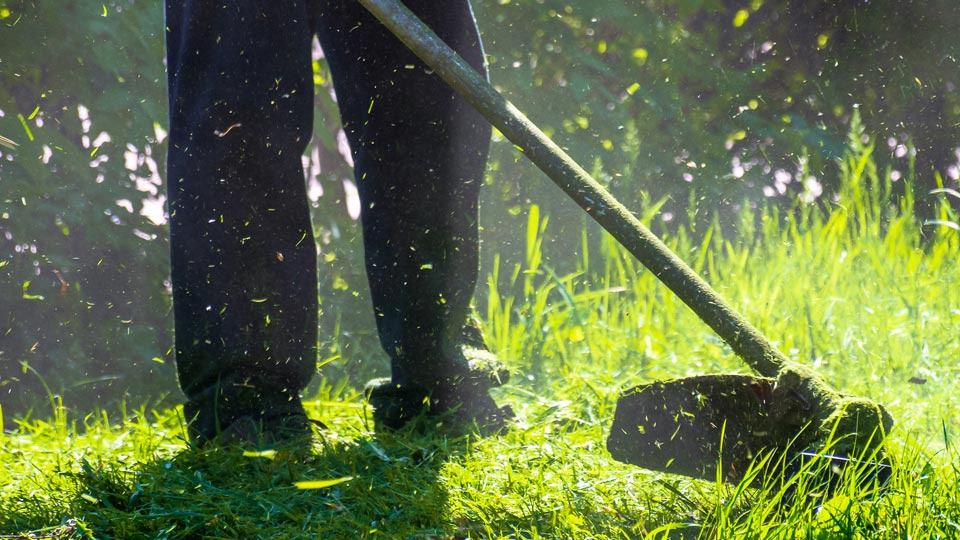 Landscaping & Property Services Business – Recurring Revenue