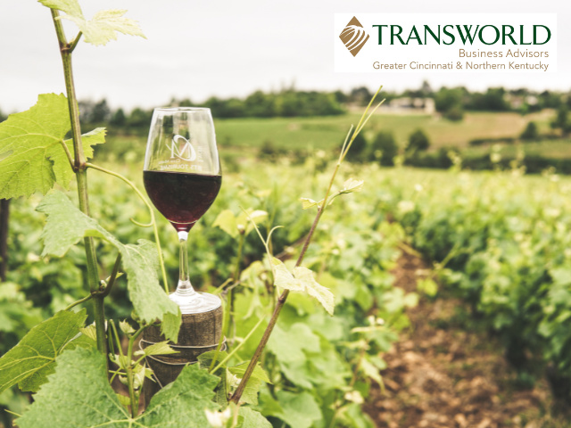 Winery & Vineyard Assets for Sale – Bring Your Brand to Life