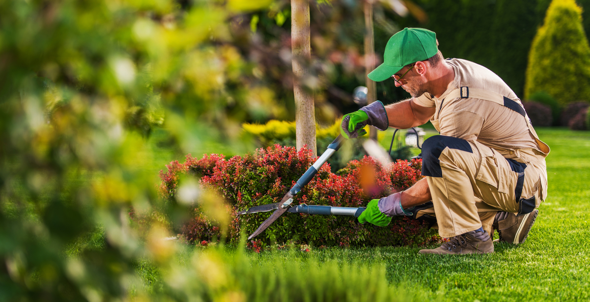 Small Landscaping Business With A Big Heart