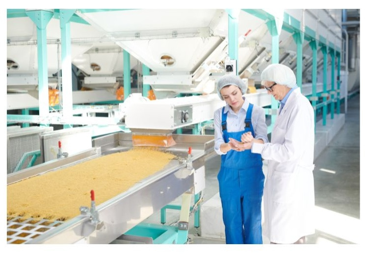 Dim Sum Manufactory – USDA Certified