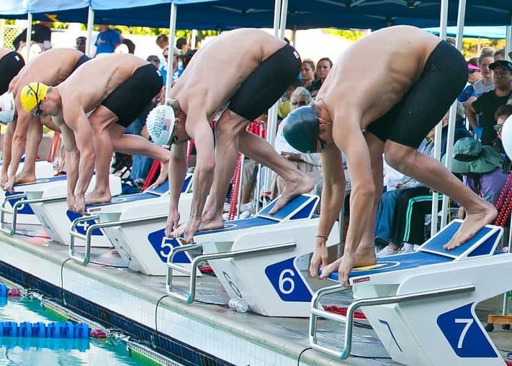 High-Performance Competitive Swimming Biz in Boston