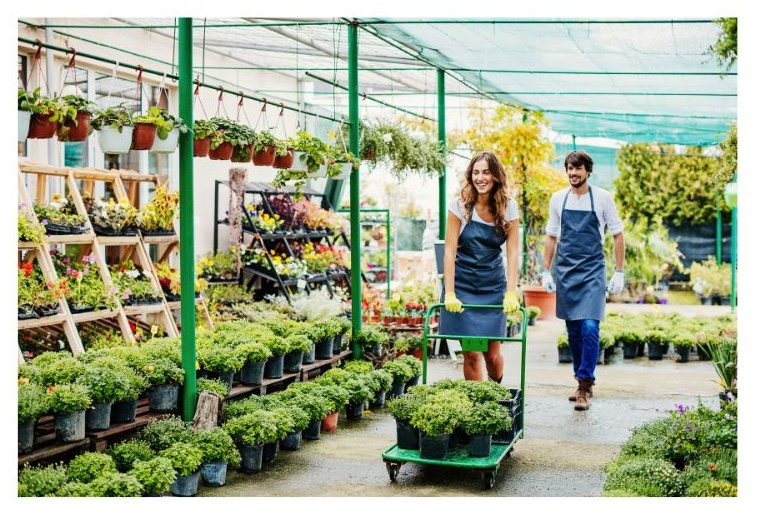 Established Garden Center in Prime Scenic Location