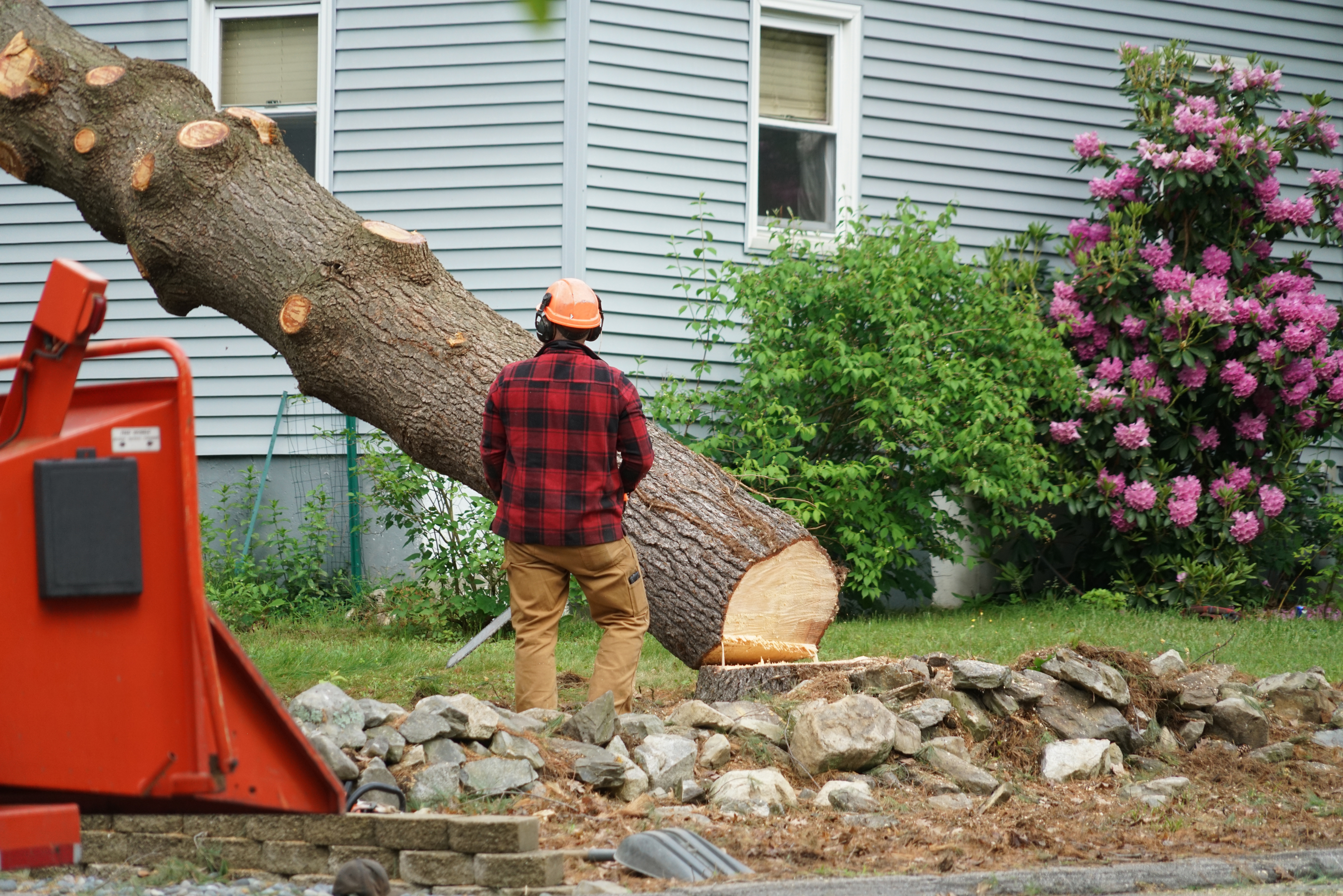 Thriving New England Outdoor Services Company 
