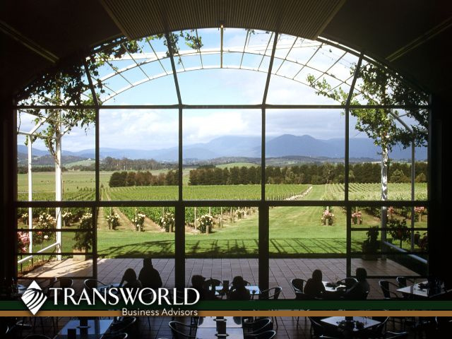 Premier Glass & Mirror Fabrication and Installation