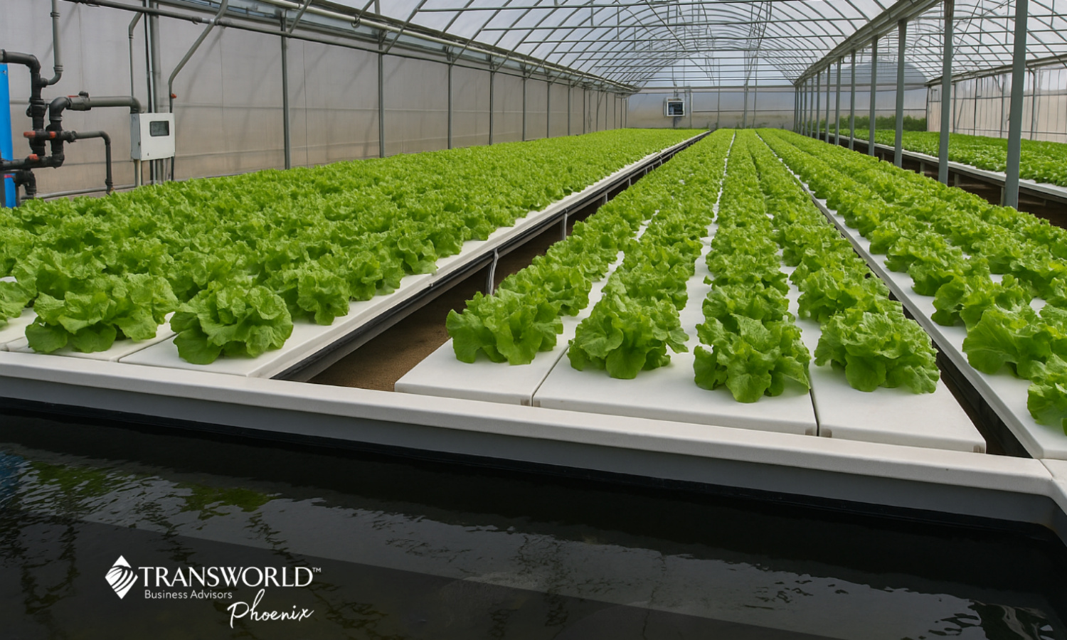 Profitable Year-Round Greenhouse with Major Contracts