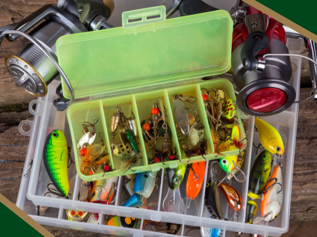 Established Supplier of Frozen Bait & Specialty Feed 