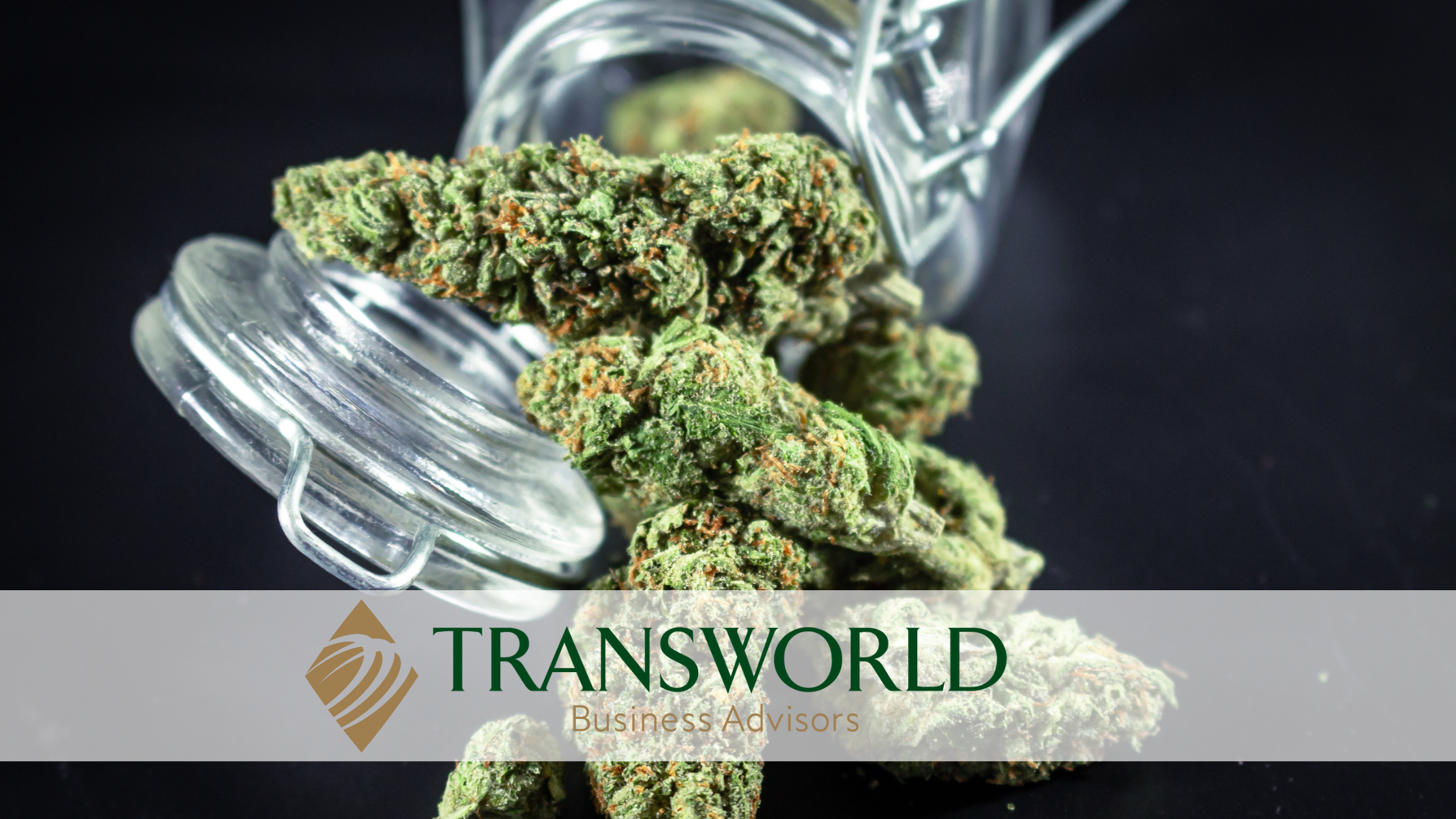 High-Growth THC-A Retail Store – Semi-Absentee Opportunity