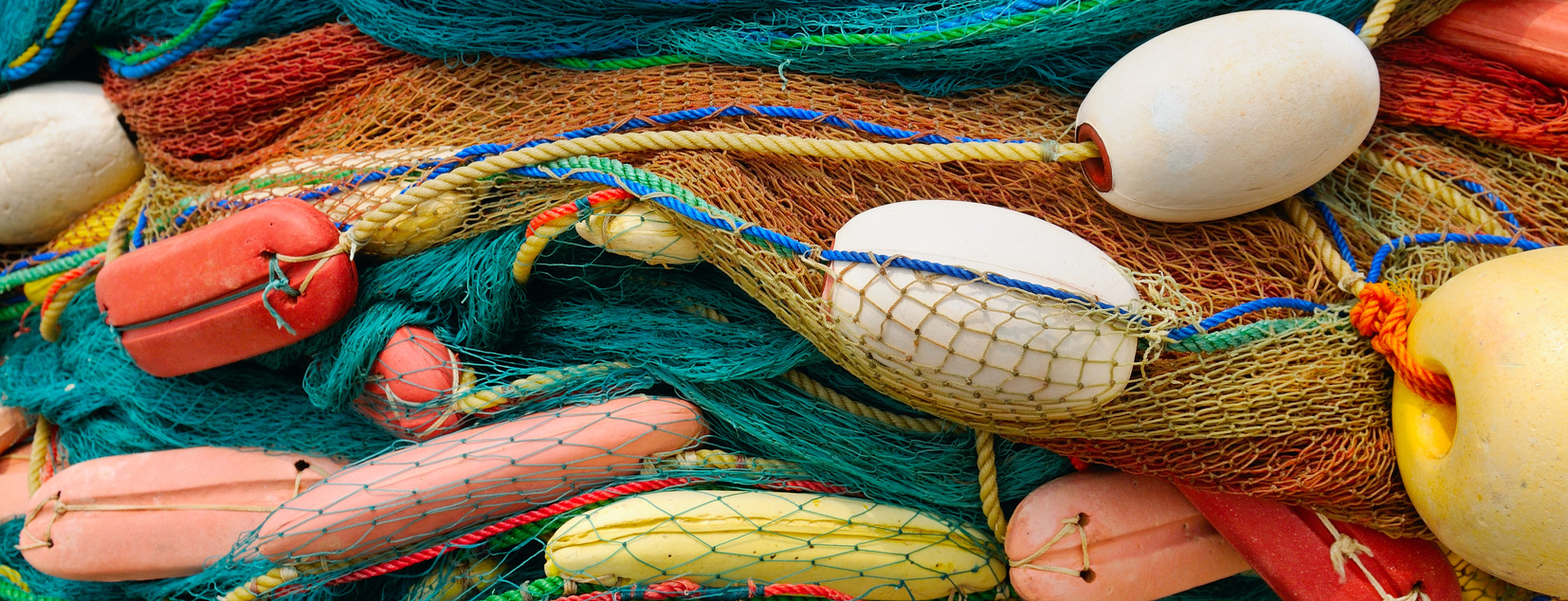 Turnkey Seafood Wholesaler with Real Estate Available 