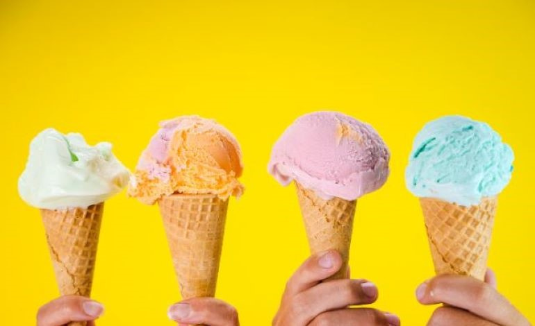 Franchise Ice Cream Shop for sale-Nassau County
