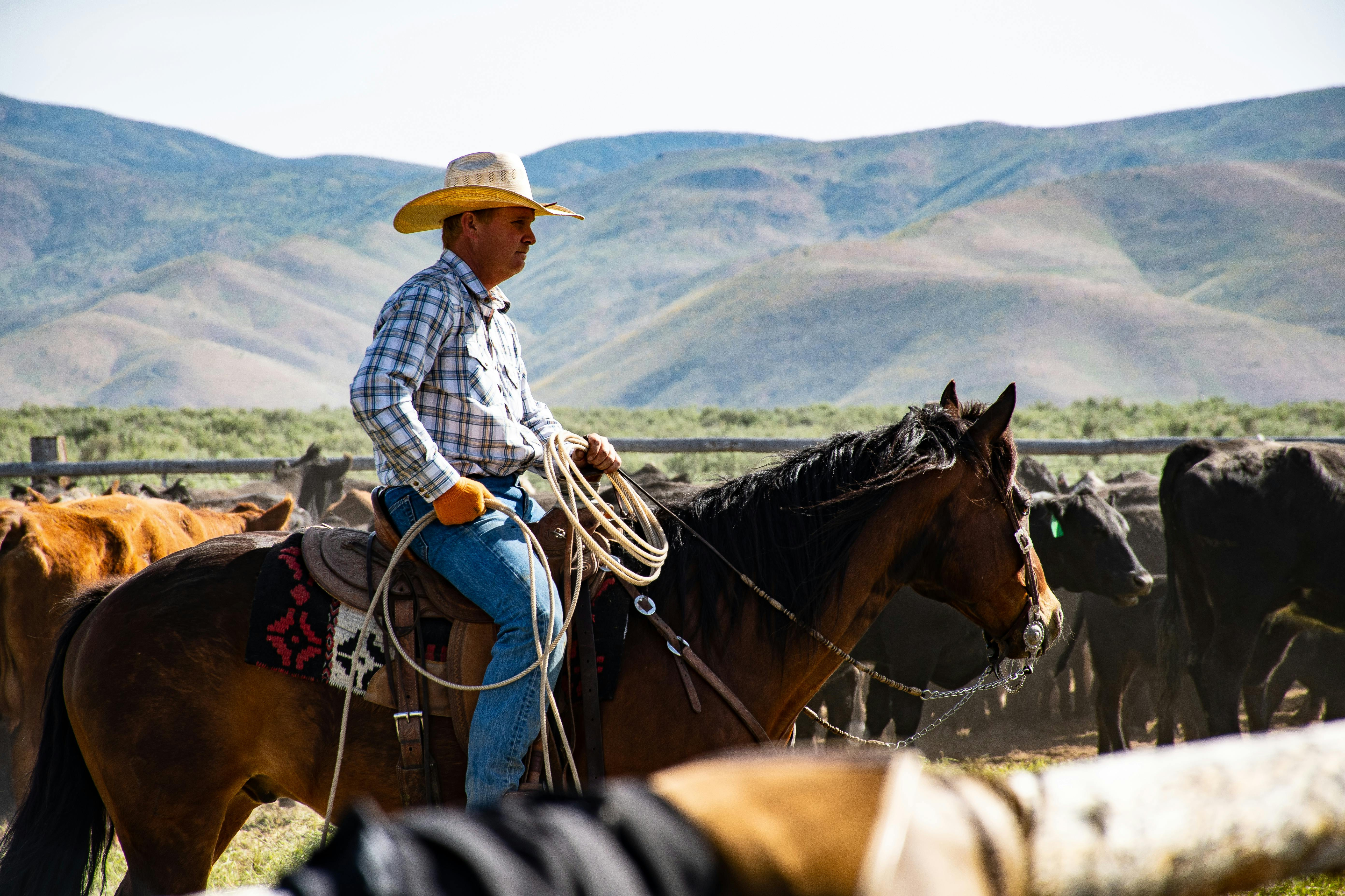 Rodeo Sports Retailer W/ Impressive Geographical Coverage