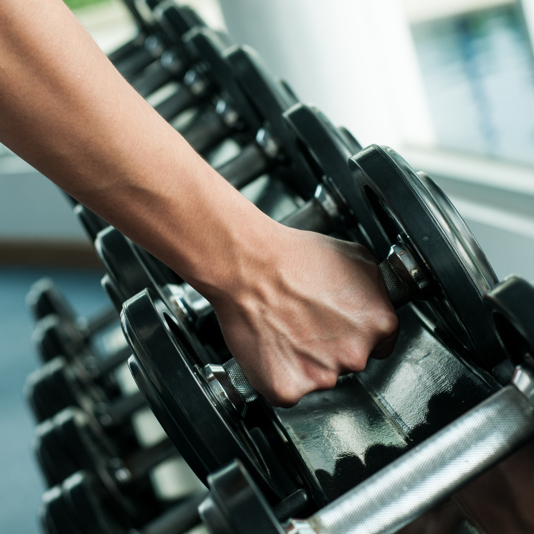 High-End Personal Training Business: Strong Client Base