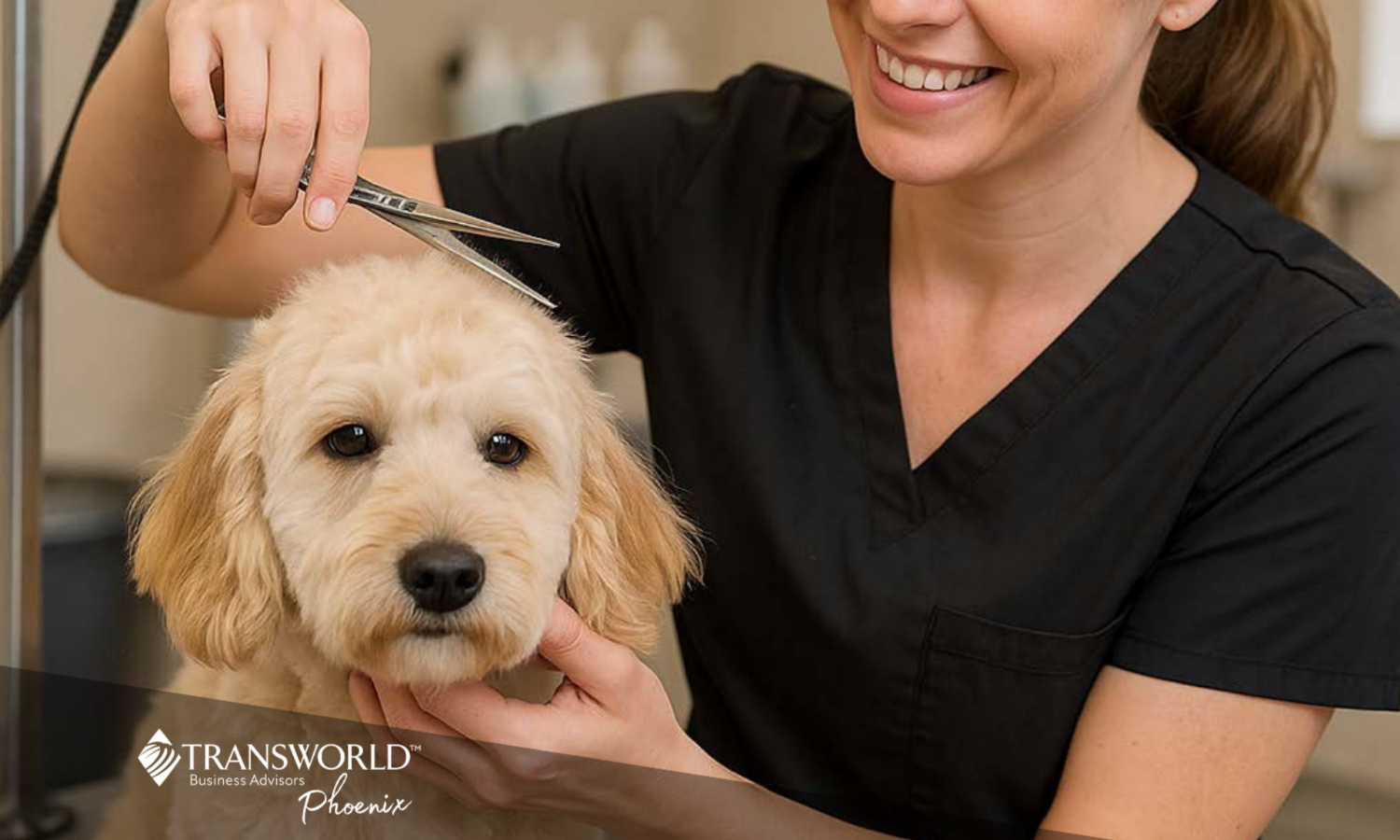 Established Pet Care Business | Steady Revenue | Long-Term Lease 