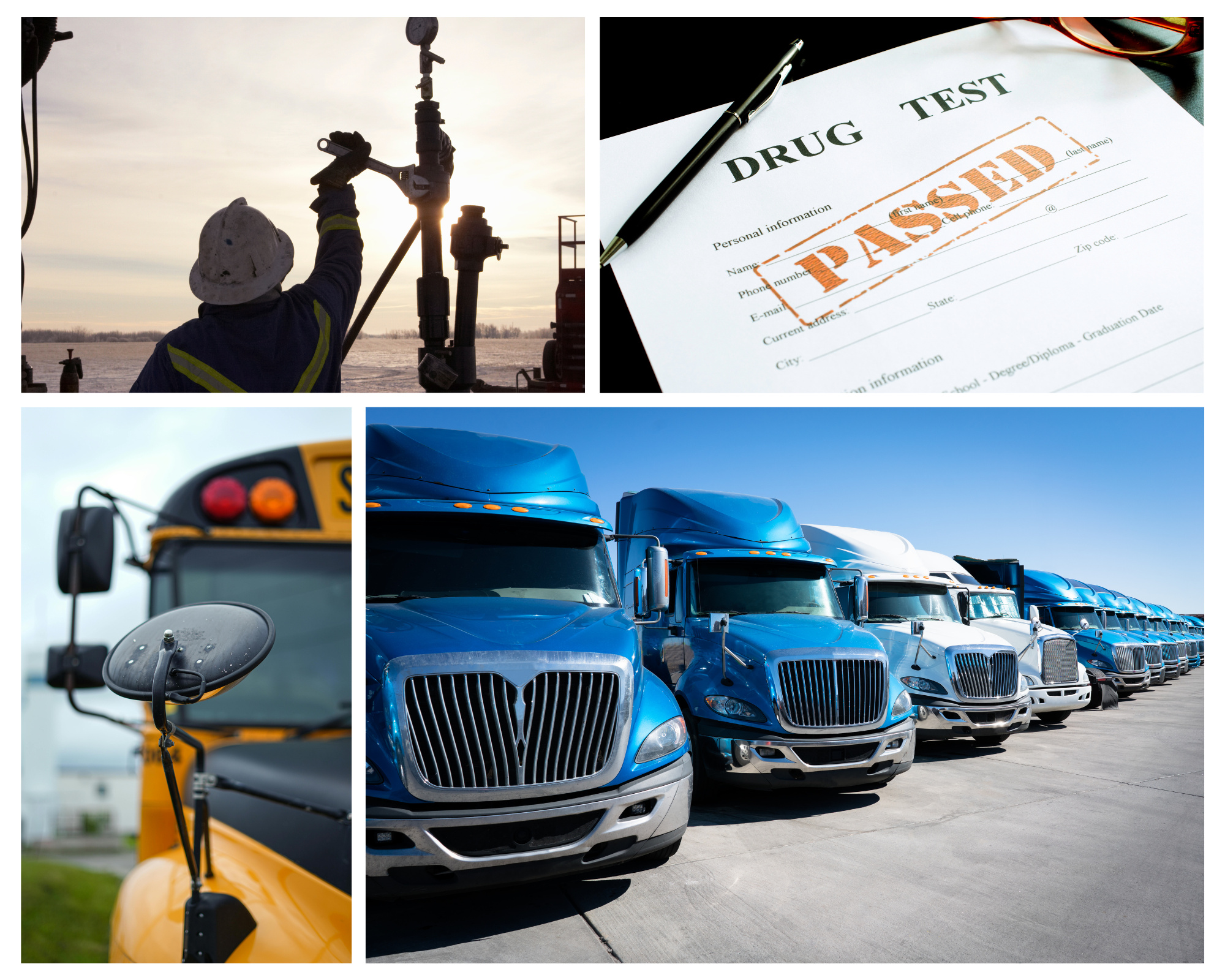 Industry Expert in Drug and Alcohol Testing | SBA Pre-Qualified