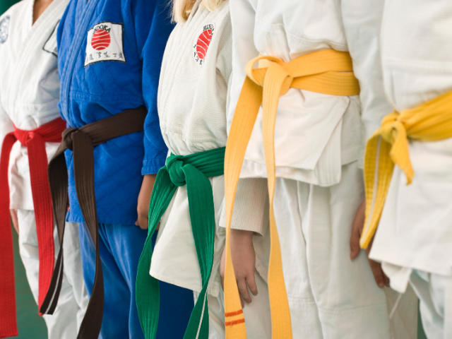 Profitable Martial Arts Franchise – 2nd Location Available