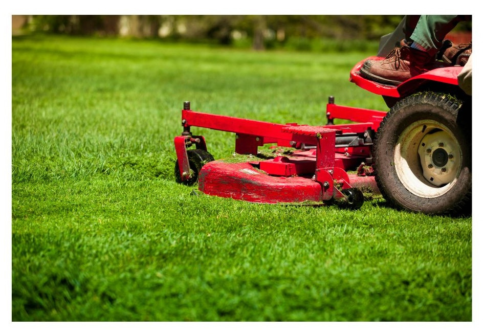 Commercial Landscaping and Property Management Business