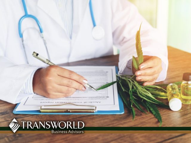  Premier Hemp Lifestyle & Wellness Store