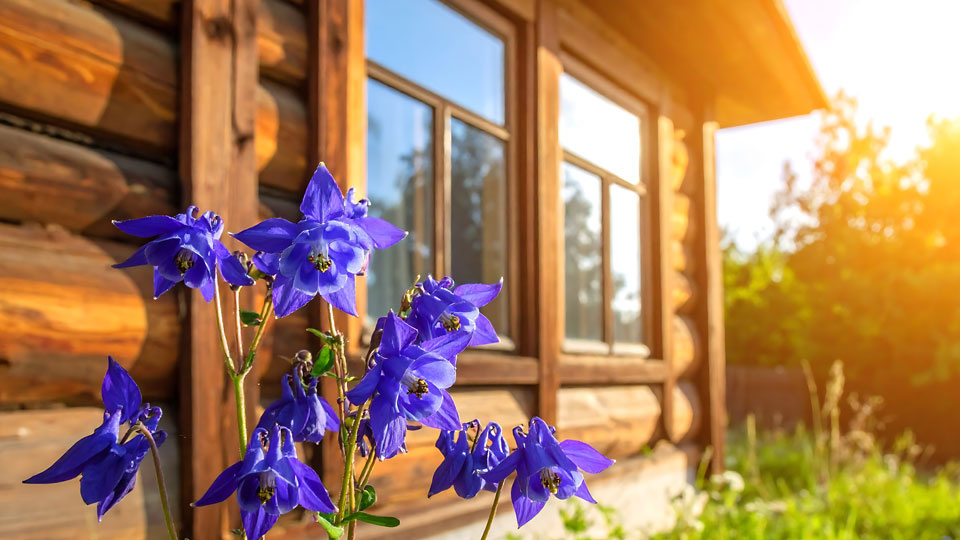 Specialized Exterior Remodeling Business with Strong Earnings