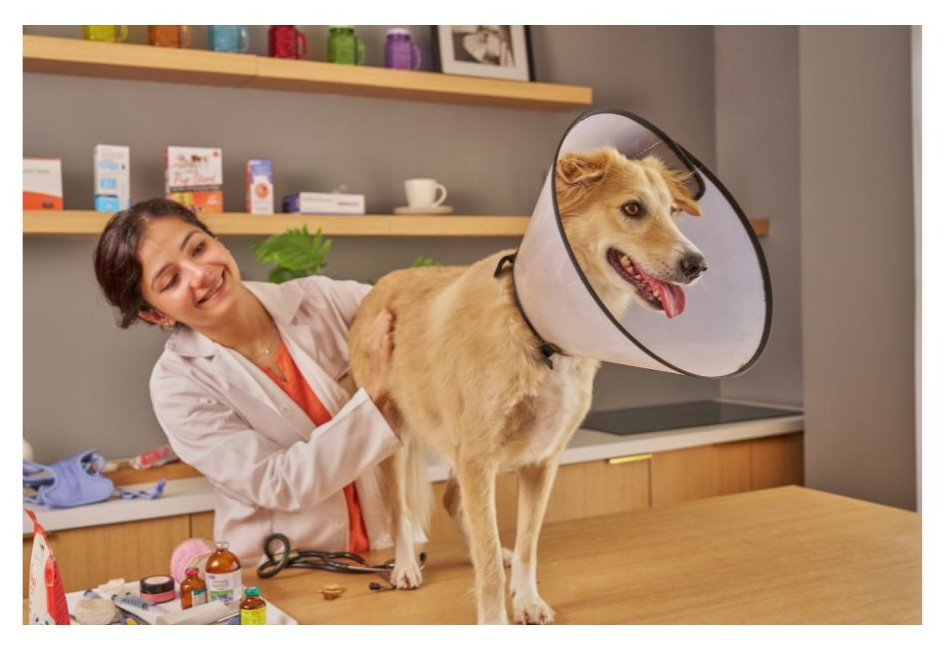 Established Dallas Veterinary Practice with Real Estate Available