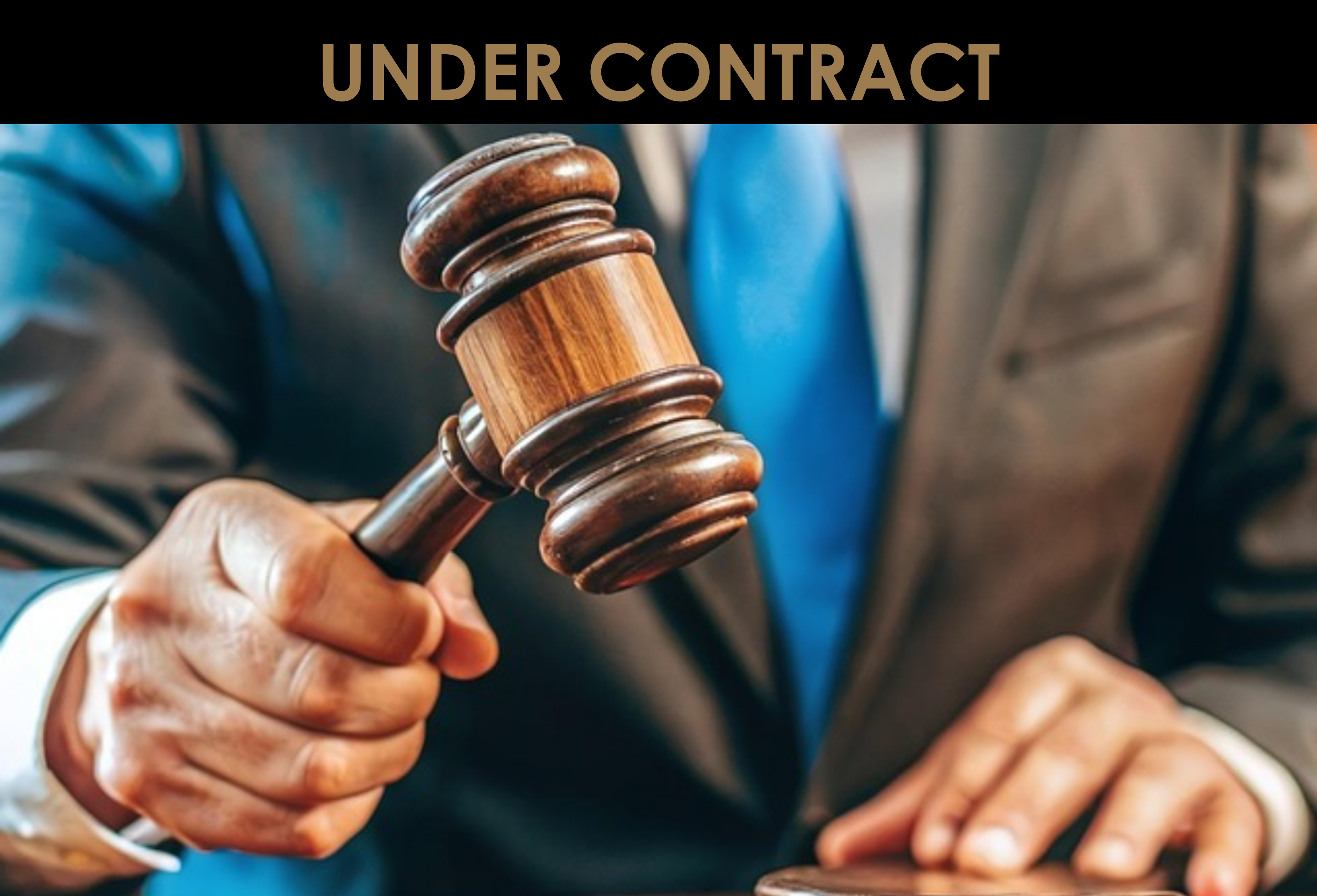 Well-Established and Profitable Online Auction House