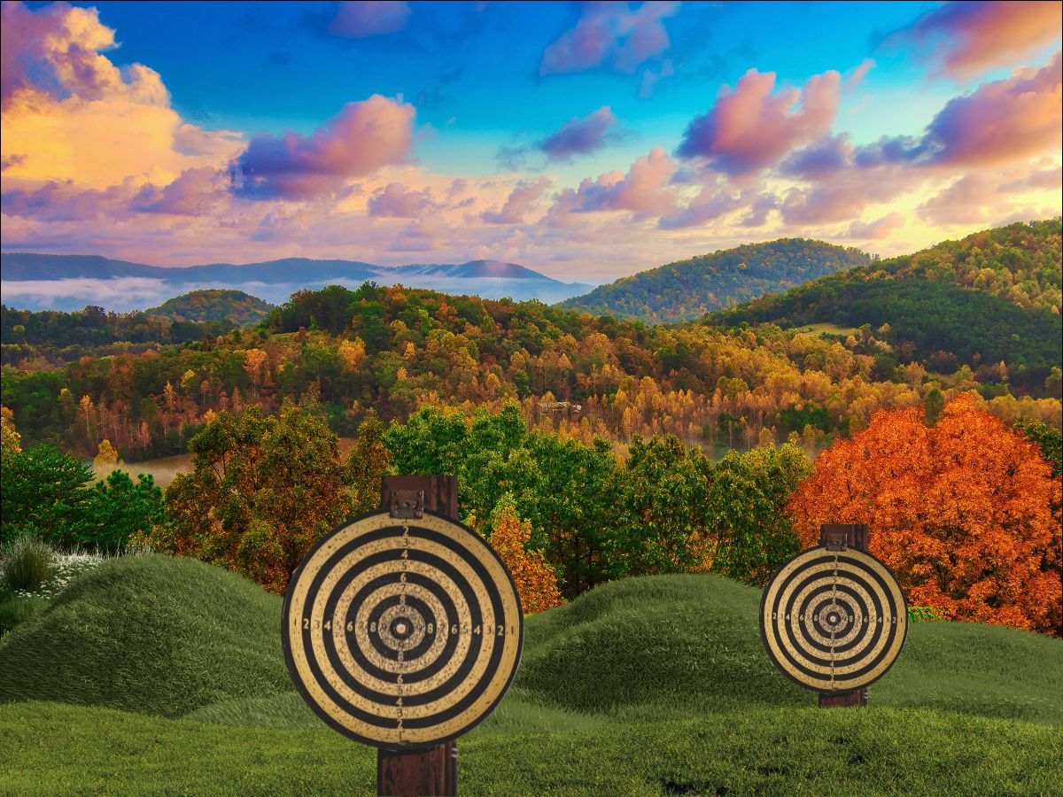 Firearms, Ammo, Sporting Goods Retailer w/ Real Estate / East TN