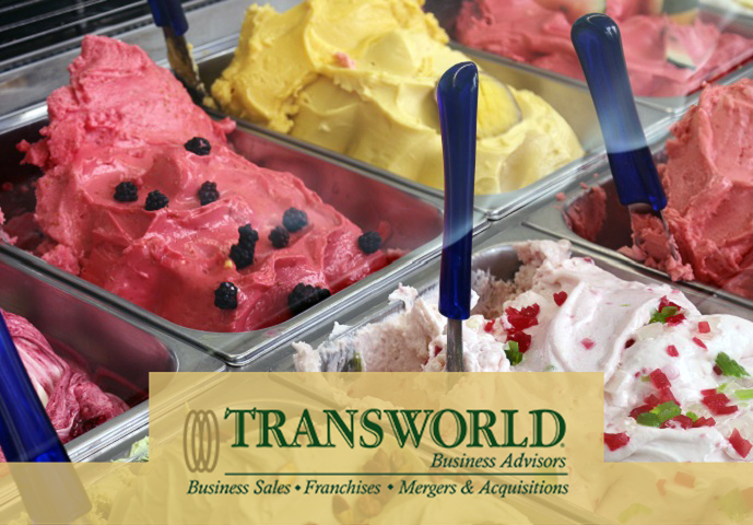 For Sale: Money Making, Frozen Yogurt-Ice Cream Business