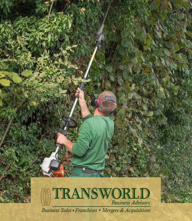 Established Tree Trimming & Landscaping Business