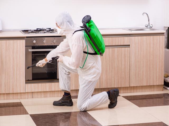 Turn Key Pest Control Opportunity