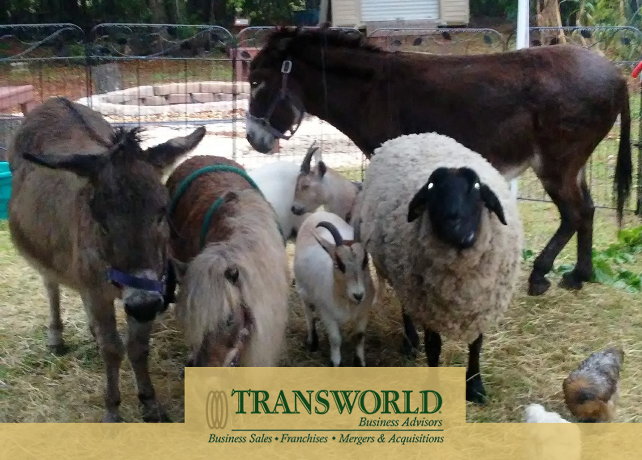 Popular Mobile Petting Zoo Transworld Business Advisors Jacksonville