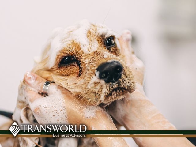 Professional Pet Grooming Service Business for sale!