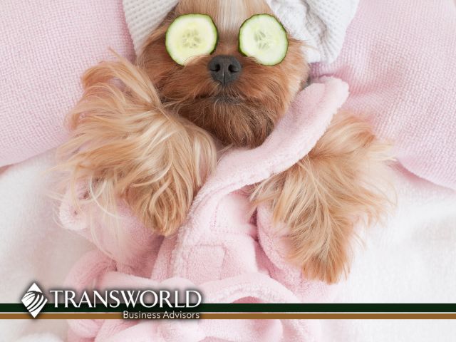 Elite Pet Spa-Mobile Dog Grooming Business