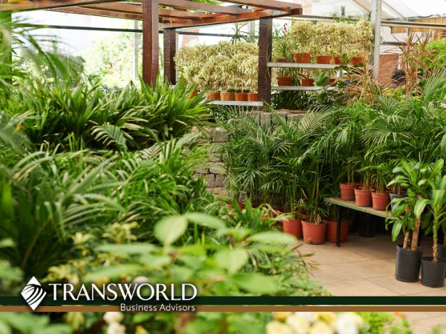 Craft Grower Cannabis License – Illinois Market Entry Opportunity