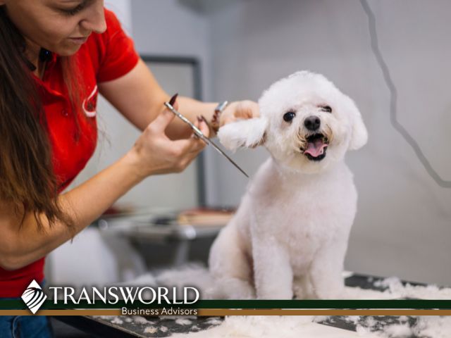Dog Grooming, Training & Day Care Business for Sale - Kane County