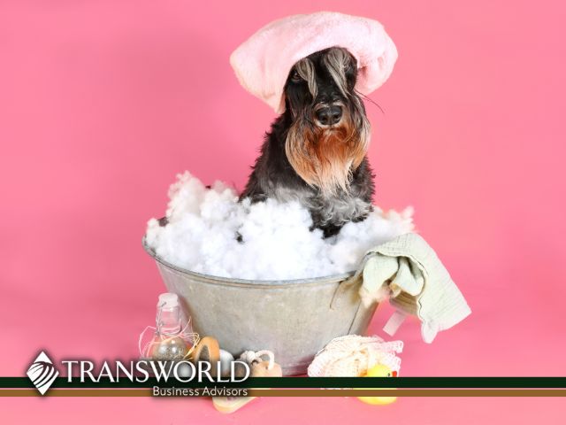Pamper Your Pets - Attention Dog Lovers ! 
