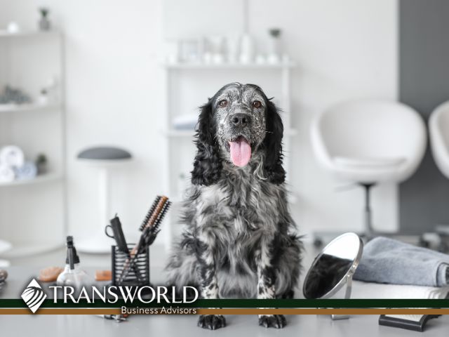 Pamper Pups & Profits – Grooming Biz for Sale!